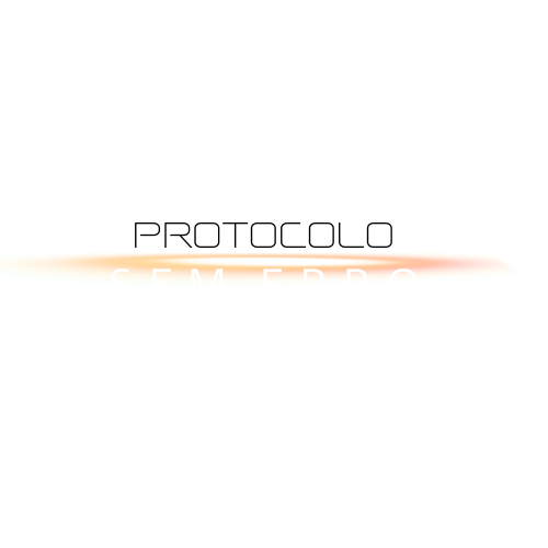 Protocolo Sem Erro